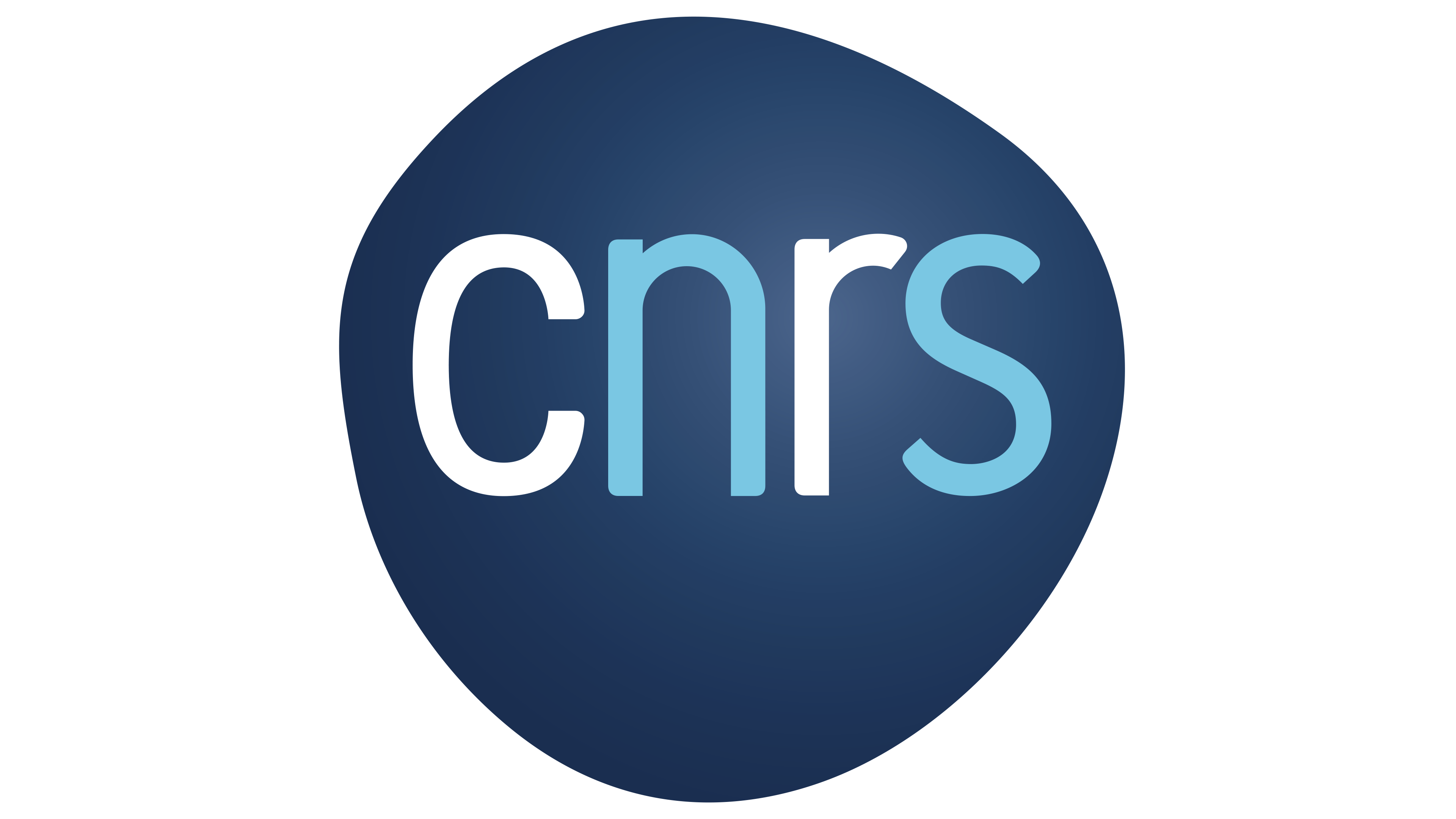CNRS Logo